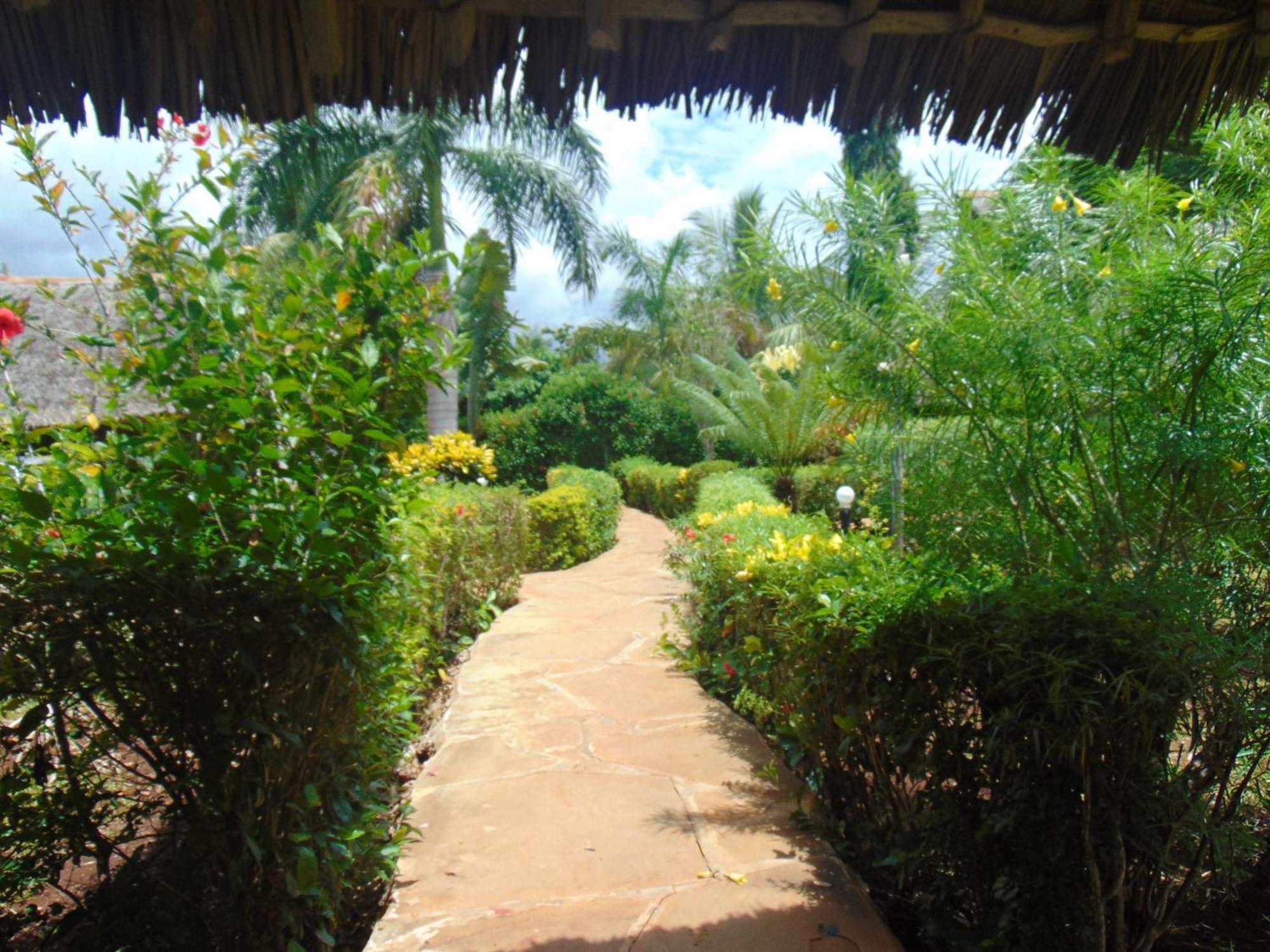 Villas Dora And Holly Diani Beach Exterior photo